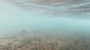 4k su altı videosu mercan resifinde dalgalanan ve kırılan okyanus dalgaları.