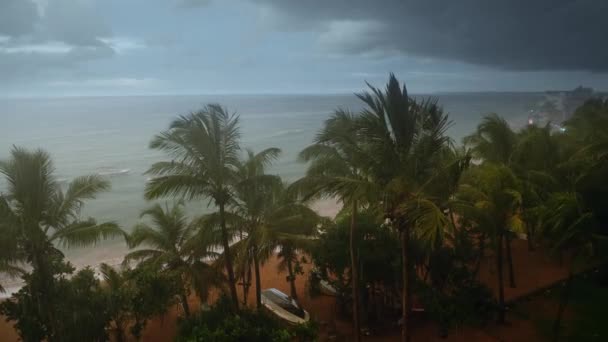 Filmagem 4k de chuva sazonal pesada na ilha tropical no oceano Índico — Vídeo de Stock