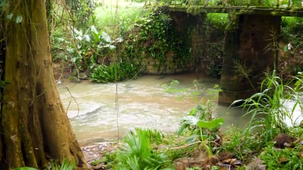 4к замедленное видео маленькой реки и каменного моста в джунглях на острове — стоковое видео