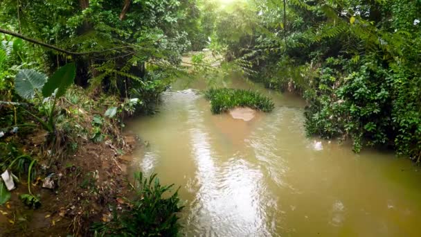 4k beelden van prachtige kalme rivier in het tropische oerwoud op Sri Lanka — Stockvideo