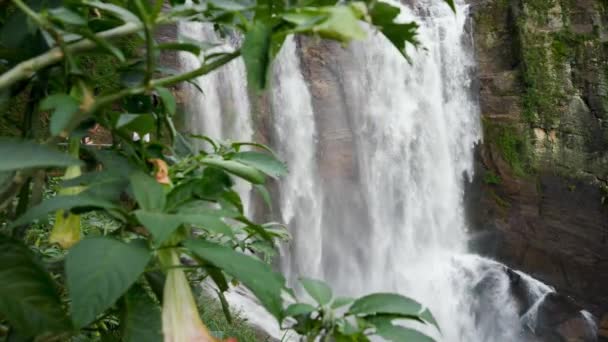 4k-Video vom Blick durch tropische Bäume auf einen wunderschönen Wasserfall im Dschungel — Stockvideo