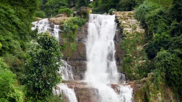 4k Video von Bäumen und tropischen Pflanzen, die an der Seite der Wasserfallkaskade im Dschungel wachsen — Stockvideo
