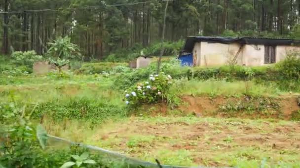 4k video desde la ventana del tren en pueblos pobres, jardines y selva tropical en Sri ALnka — Vídeo de stock