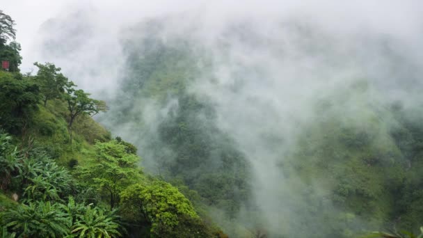 Filmagem 4k de nuvens e nevoeiro cobrindo floresta tropical no vale entre duas montanhas — Vídeo de Stock