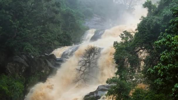 Vidéo 4k de puissant ruisseau de montagne coulant en cascade après avoir plu dans la forêt torpique à la montagne — Video