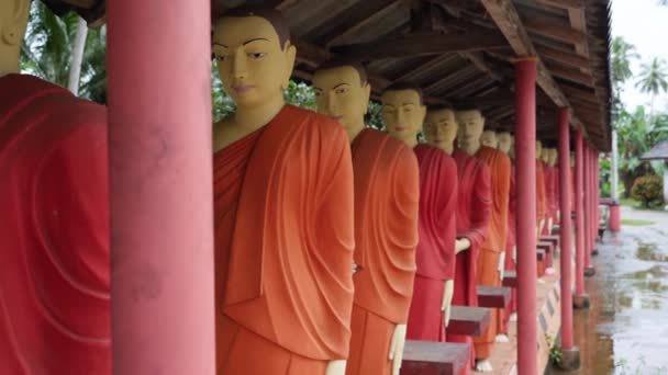 4k dolly video of Buddha statues standing in row in the buddhist temple at Sri Lanka. — Vídeos de Stock