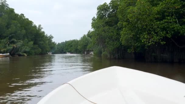 View from the motorboot on swimming on narrow river in the tropical jungle forest — Stockvideo