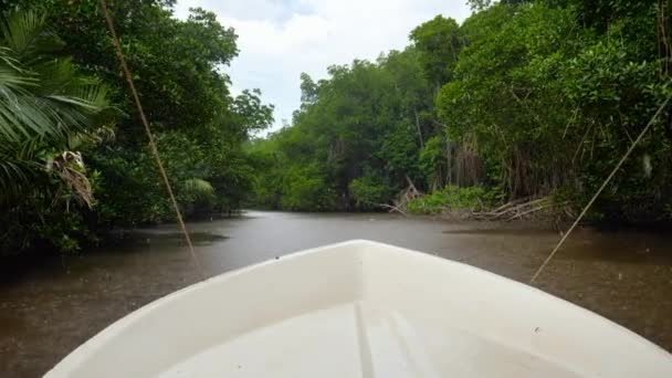 4k video di piccola barca che naviga sul fiume nella foresta di mangrovie mentre piove nella foresta pluviale tropicale — Video Stock