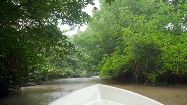 Vista do nariz de lancha na vela no rio na floresta tropical da selva enquanto chove — Vídeo de Stock