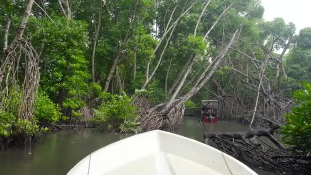 ジャングル川で成長しているマングローブの木の間を航海する小型ボートの4kビデオ — ストック動画