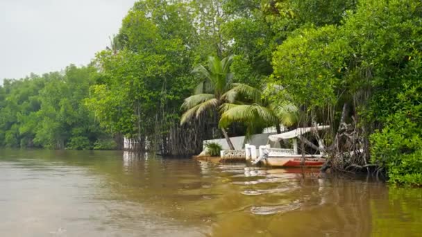 4k video de la vieja lancha amarrada en el muelle de madera en el río en la selva tropical — Vídeo de stock