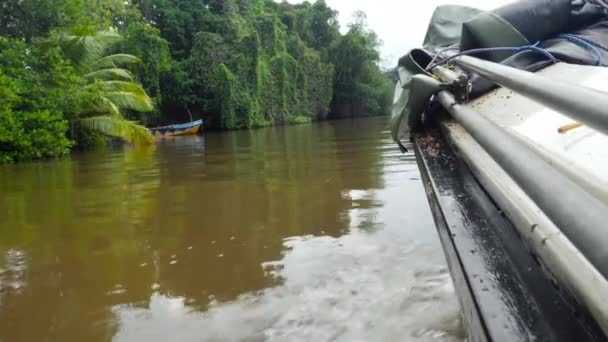 Vue de l'eau côté bateau à moteur naviguant sur la rivière tropicale dans la forêt de jungle — Video