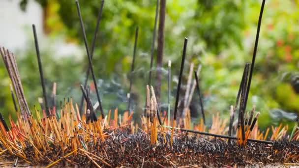 Vidéo 4k de fumée provenant de la combustion d'encens dans un temple bouddhiste au Sri Lanka — Video