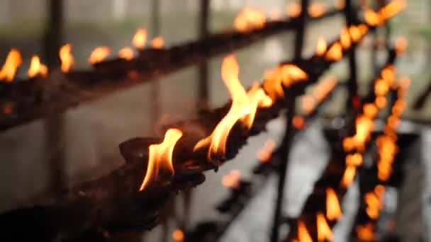 Primer plano 4k video de lámparas de aceite en llamas en el templo budista en Sri Lanka — Vídeos de Stock