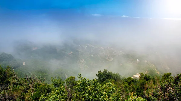 高山森林里多云的晨景 — 图库照片