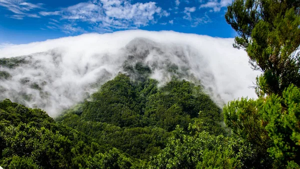 Prachtig landschap van bergtop bedekt met dichte mist en wolken, Tenerife, Spanje — Stockfoto