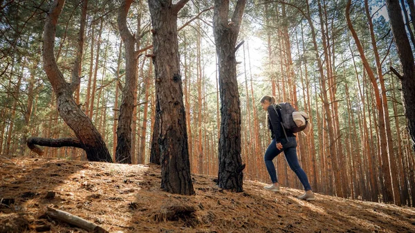 Mladá žena turista kráčí do kopce v borovém lese — Stock fotografie