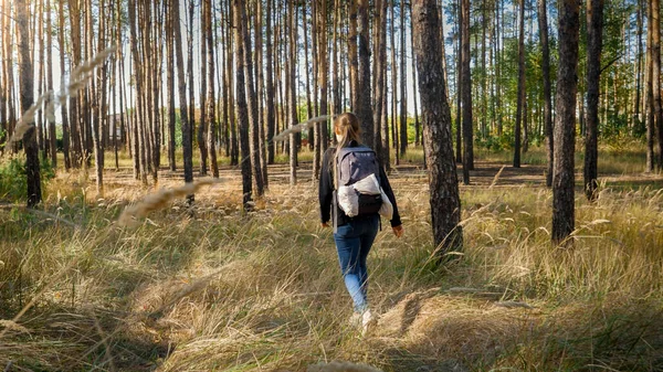 Toned photo of young female hikinh and walking on the field next to big pine tree forest — Stock Photo, Image