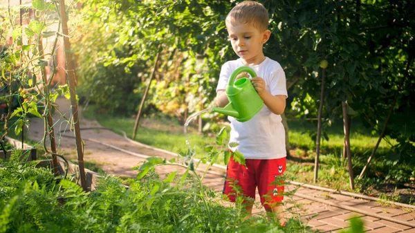 Χαριτωμένο μικρό αγόρι πότισμα λαχανικά καλλιέργεια στον κήπο — Φωτογραφία Αρχείου