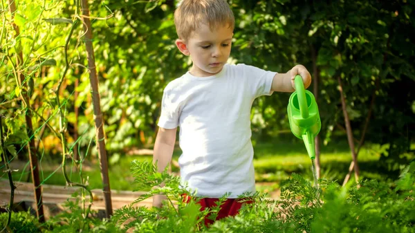 Portrait of little toddler boy helping parents working in garden and watering vegetables — Stock Photo, Image