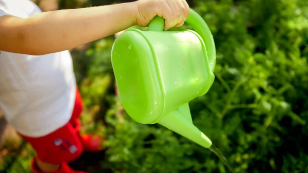 Closeup image of little boy watering flowers growing at garden — Stock Photo, Image