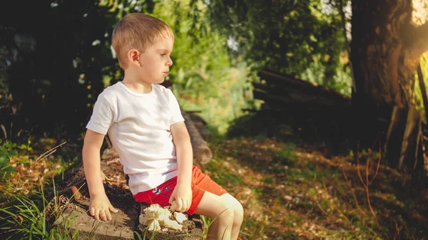 Küçük çocuğun tonlarca portresi nehir kıyısında oturuyor ve ördekleri beslemek için ekmek tutuyor. — Stok fotoğraf