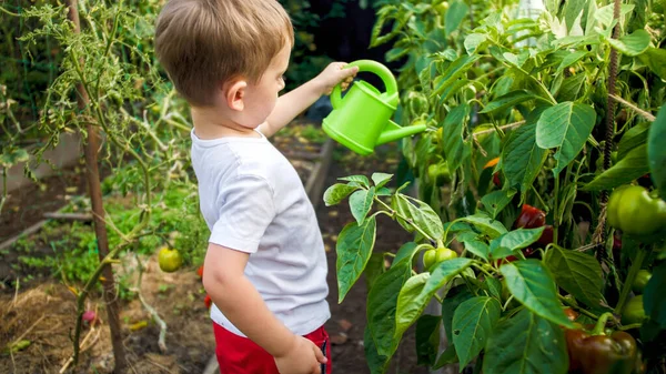 Toned gambar anak kecil bekerja di kebun dan waterng sayuran — Stok Foto