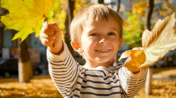 Closeup portrait of happy smiling toddler boy with yellow autumn leaves at park — Stock Photo, Image