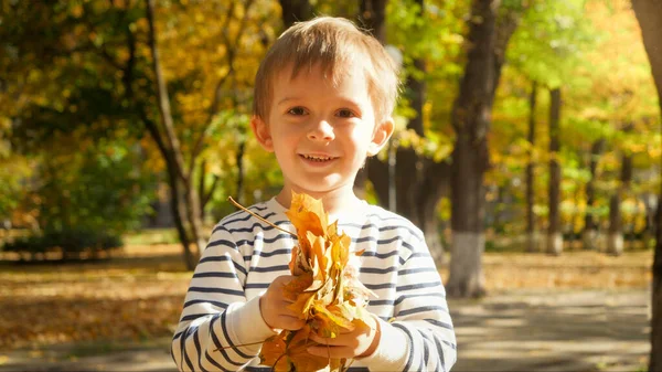 Altın sonbahar yaprakları tutan ve kameraya bakan 4 yaşındaki küçük bir çocuğun portresi. — Stok fotoğraf