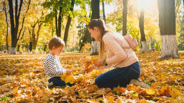 Küçük çocuk ve genç anne sonbahar parkında sarı ve kırmızı ananas yapraklarını topluyor. — Stok fotoğraf