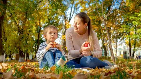 在秋季公园与年轻母亲野餐的可爱小男孩的画像 — 图库照片