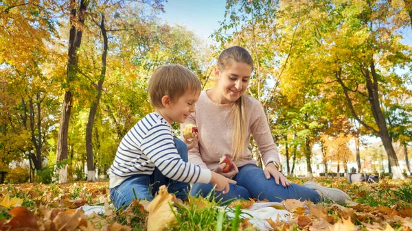 Sonbahar parkında düşmüş sarı yaprakların üzerinde oturan ve elma yiyen bir aile. — Stok fotoğraf