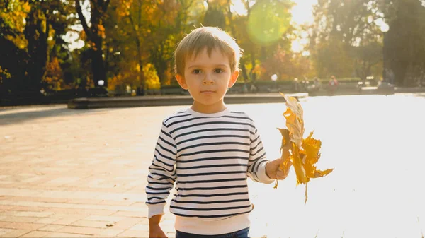 Retrato de lindo niño sosteniendo la hoja de árbol de otoño y posando contra la luz del atardecer — Foto de Stock