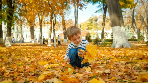 Liebenswerter Kleinkind-Junge sammelt und pflückt umgestürzte Bäume im Herbstpark — Stockfoto