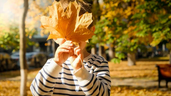 Portré aranyos kisfiúról, aki sárga őszi levelet tart az arcához a parkban. — Stock Fotó