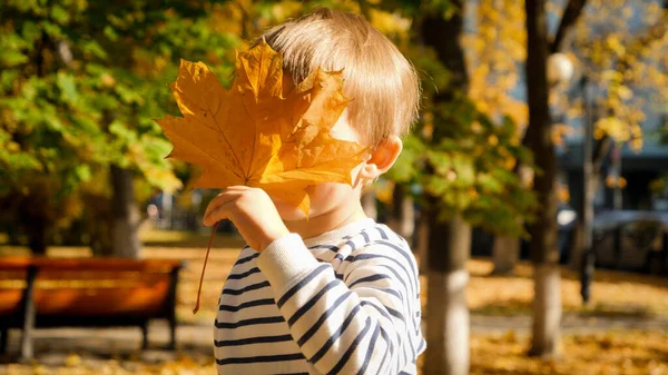Portret uroczego chłopca chowającego się za żółtymi jesiennymi liśćmi w parku — Zdjęcie stockowe