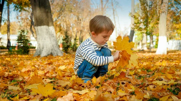 Portrait d'un petit garçon assis dans un parc d'automne et cueillant des feuilles d'arbres tombées — Photo
