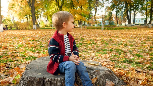 Portret małego smutnego chłopca siedzącego na pniu drzewa w jesiennym parku — Zdjęcie stockowe