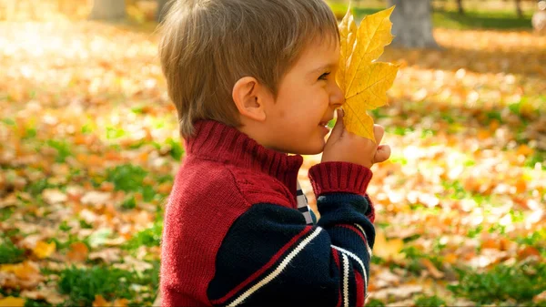 Feliz menino sorrindo criança segurando amarelo caído folha de outono no parque — Fotografia de Stock