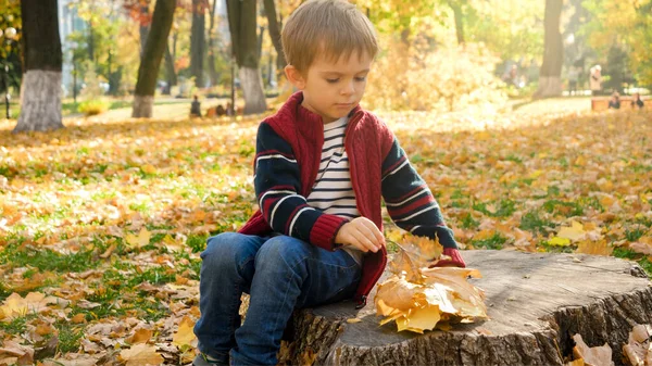 Dorable mały chłopiec siedzi na pniu drzewa w jesiennym parku — Zdjęcie stockowe