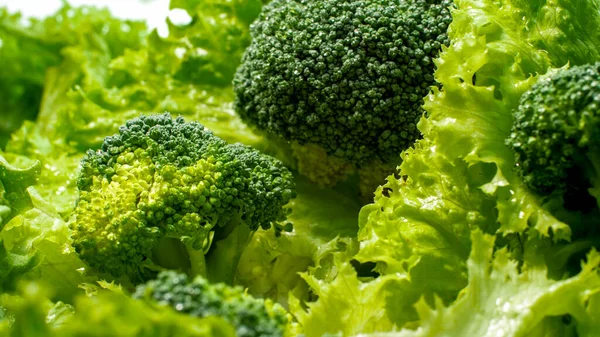 Macro foto di broccoli verdi freschi e foglie di lattuga in insalata. Contesto per alimenti sani e prodotti senza OGM. Nutrizione alimentare e verdure fresche. Sfondo vegano e vegetariano . — Foto Stock