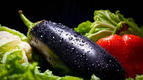 Detailní fotografie kapek vody padajících na čerstvý lilek, salát a paprika. Pozadí pro zdravé potraviny a produkty bez GMO. Výživa stravy a čerstvá zelenina. Vegan a vegetarián — Stock fotografie