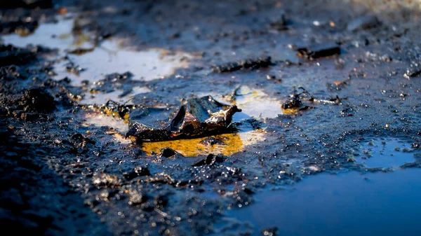 Foto di primo piano di rifiuti tossici, petrolio e plastica terreno inquinante. Concetto di danno all'ambiente e disastro ecologico — Foto Stock