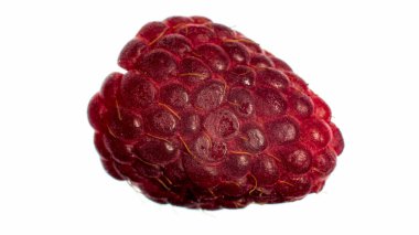 Kırmızı olgun ahududu ve beyaz sırt çantasının Macro resmi. Böğürtlen ve meyvelerin soyut arkaplanı.