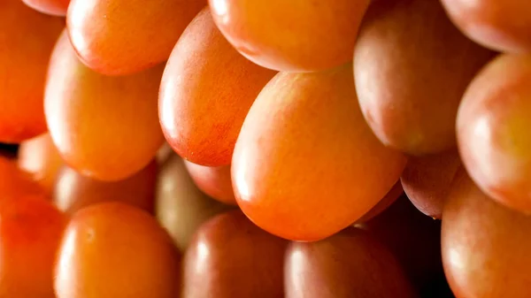 Primo piano immagine astratta di uva fresca matura alla luce del sole — Foto Stock