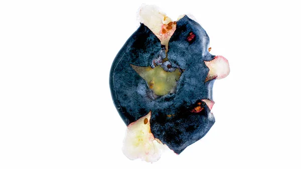 宏观上孤立的照片压碎和挤压蓝莓的白色背景.浆果和水果的背景摘要. — 图库照片