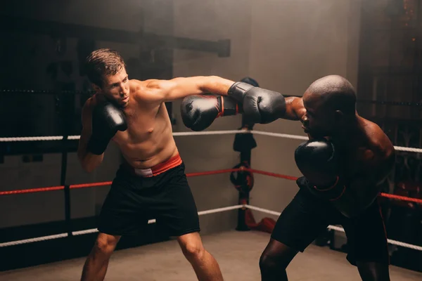 Masculino boxers sparring no boxe anel — Fotografia de Stock