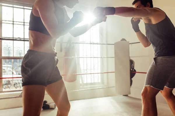 Чоловіки і жінки-боксери з загорнутими кулаками — стокове фото