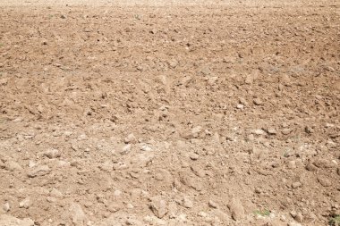 İspanya tarım arazisi