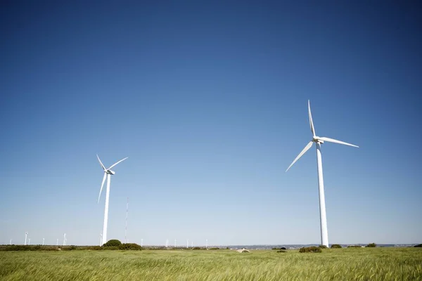 Concepto energía eólica —  Fotos de Stock